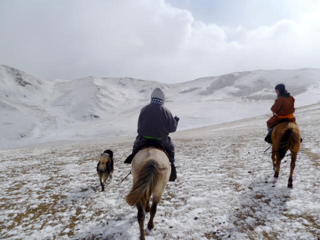 horse-riding-mongolia